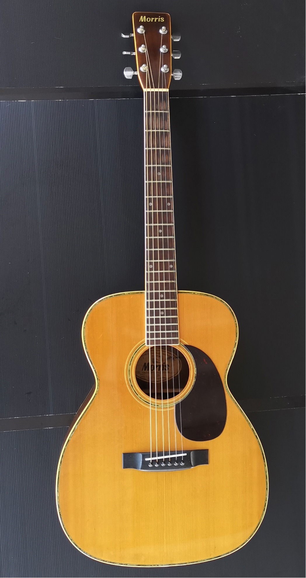 GUITAR : MORRIS F25
