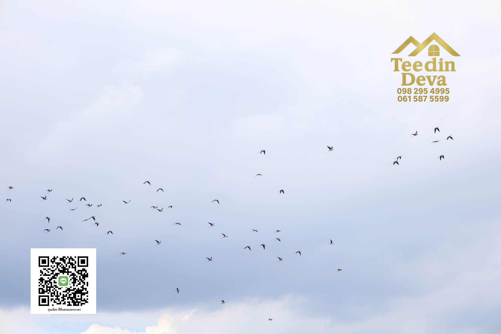 🏡✨ ที่ดินวิวภูเขา โอบด้วยธรรมชาติ…พักใจได้ทุกวัน 🌿 100 ตรว ต.เขาพระ อ.เมือง จ.นครนายก