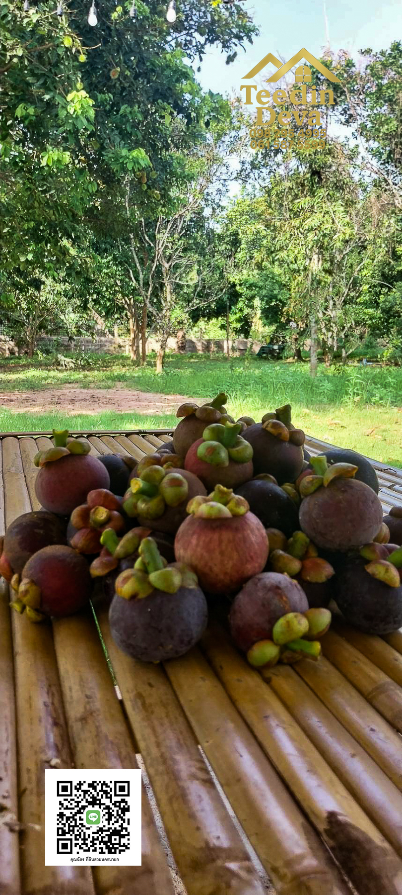 🌿 บ้านสวนในฝัน พร้อมอยู่ ใกล้เขื่อนขุนด่าน เนื้อที่ 1 ไร่ ต.สาริกา อ.เมือง จ.นครนายก 🏡