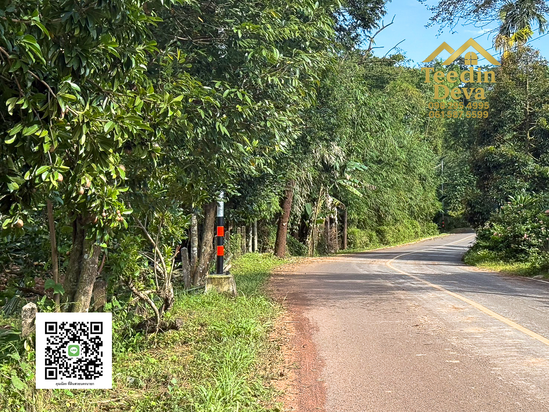 🌄 บ้านสวนผลไม้ในฝันกลางวิวเขาใหญ่ — 2 ไร่ 45 ตรว. ต.นาหินลาด อ.ปากพลี จ.นครนายก 🍃