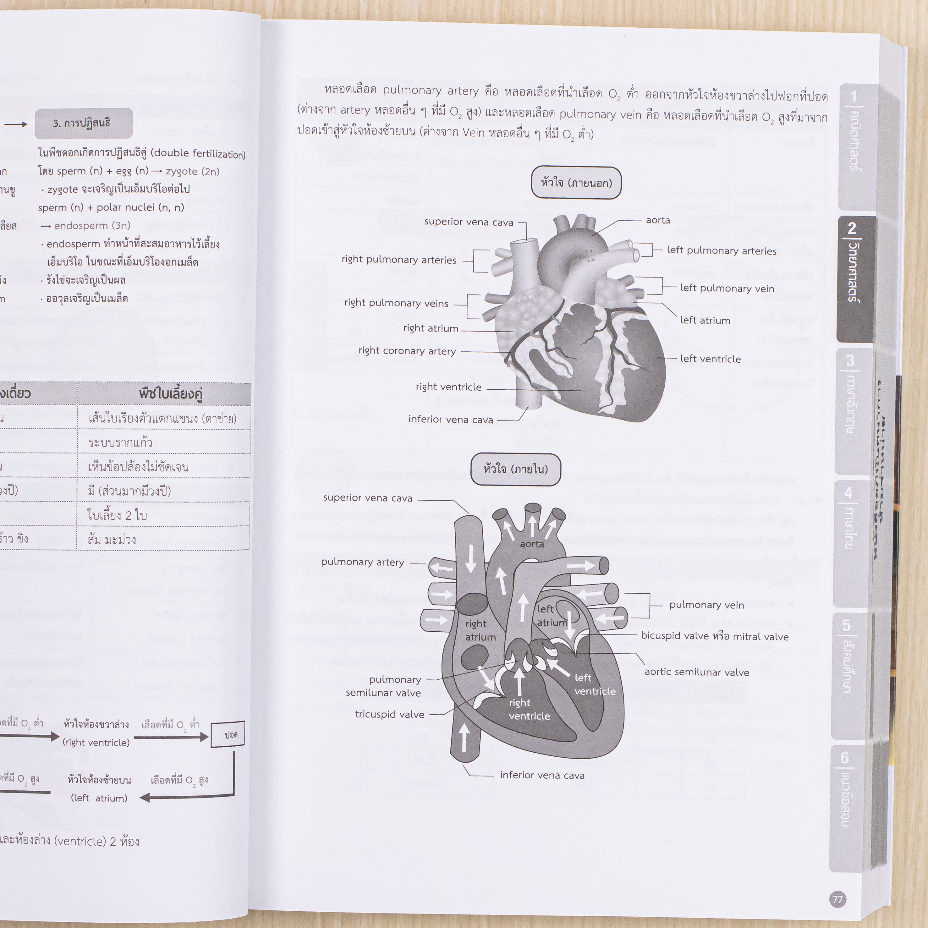 Infopress (อินโฟเพรส) หนังสือ สรุปเข้ม + ข้อสอบ ม.3 พิชิตสอบเข้า ม.4 (ฉบับปรับปรุงครั้งที่ 3) มั่นใจเต็ม 100 - 75906