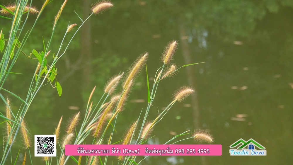 ที่ดินนครนายก ติดแม่น้ำ 14 ไร่ พื้นที่ติดแม่น้ำ 400 เมตร ชมลำธารสวยๆ บรรยากาศสบายๆ ต.สาริกา อ.เมือง จ.นครนายก