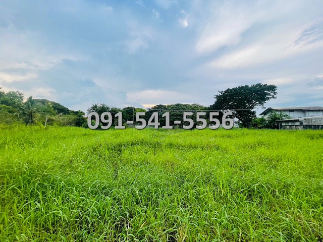 ขายที่ดิน ใจกลางเมืองเพชรบูรณ์ เนื้อที่ 18-1-3 ไร่ ติดถนนสันติสุข เข้าออกได้หลายเส้นทาง บรรยากาศดีเงียบสงบน่าอยู่