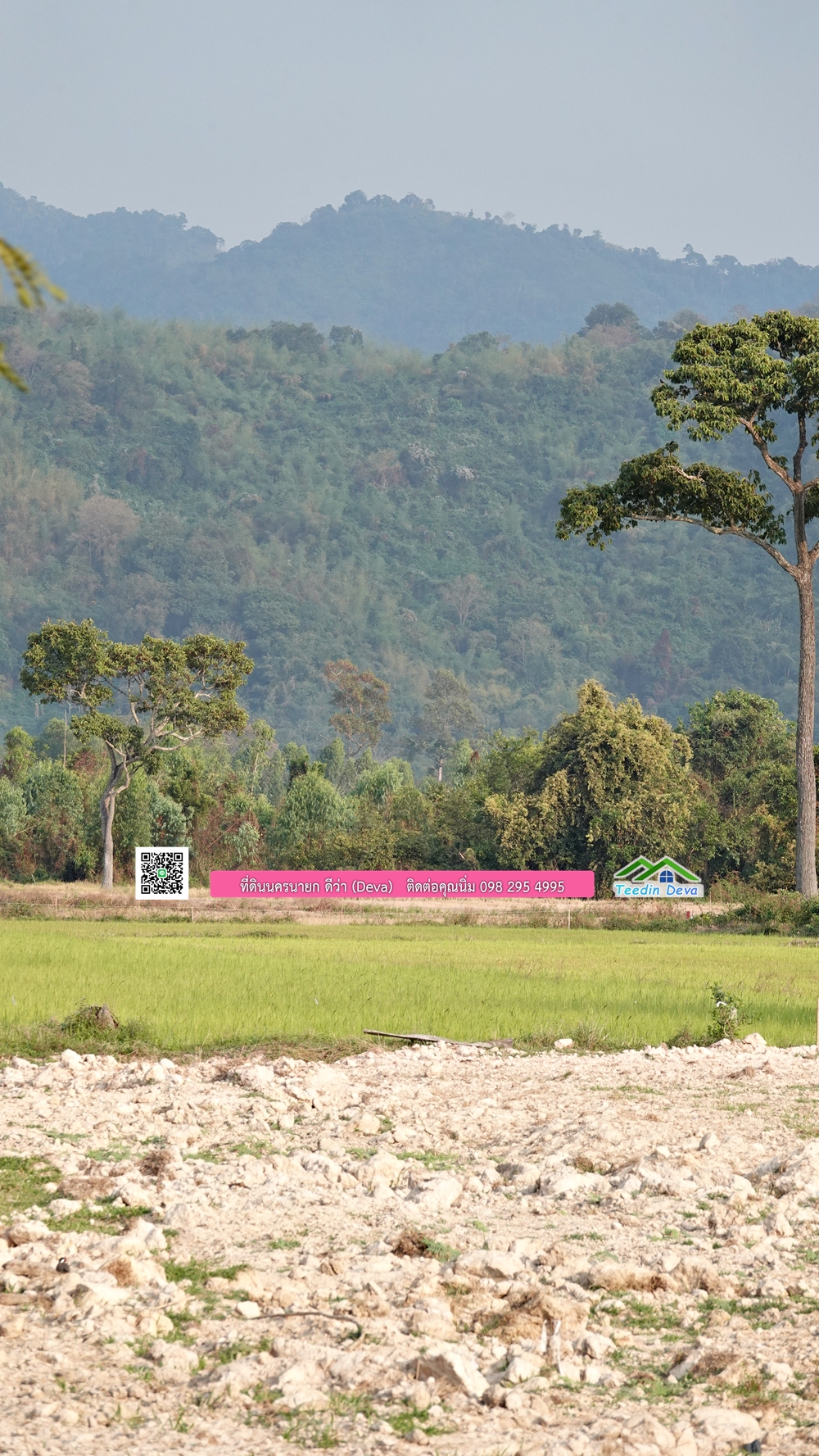 ที่ดินนครนายก วิวทุ่งนาต้นยางสวยๆ ขนาด 4 ไร่ ราคาไร่ละ 1.5 ล้าน ต.เขาเพิ่ม อ.บ้านนา จ.นครนายก