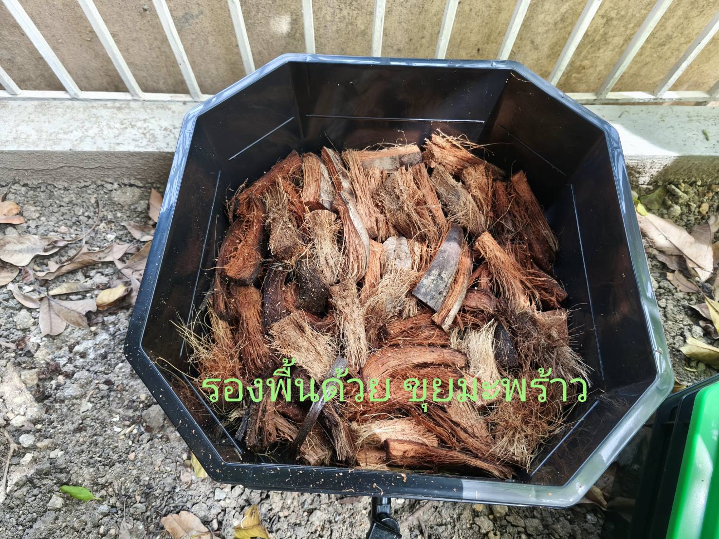 คอนโดเลี้ยงไส้เดือน บ้านเพาะพันธ์ุไส้เดือน กะบะเลี้ยงไส้เดือน หมักปุ๋ยมูลไส้เดือน