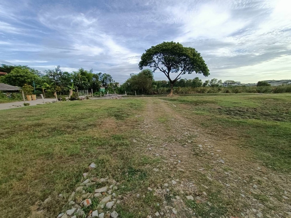 ขายที่ดินแปลงใหญ่ สุวรรณภูมิ ทับช้าง 4 ไร่ (N.628)