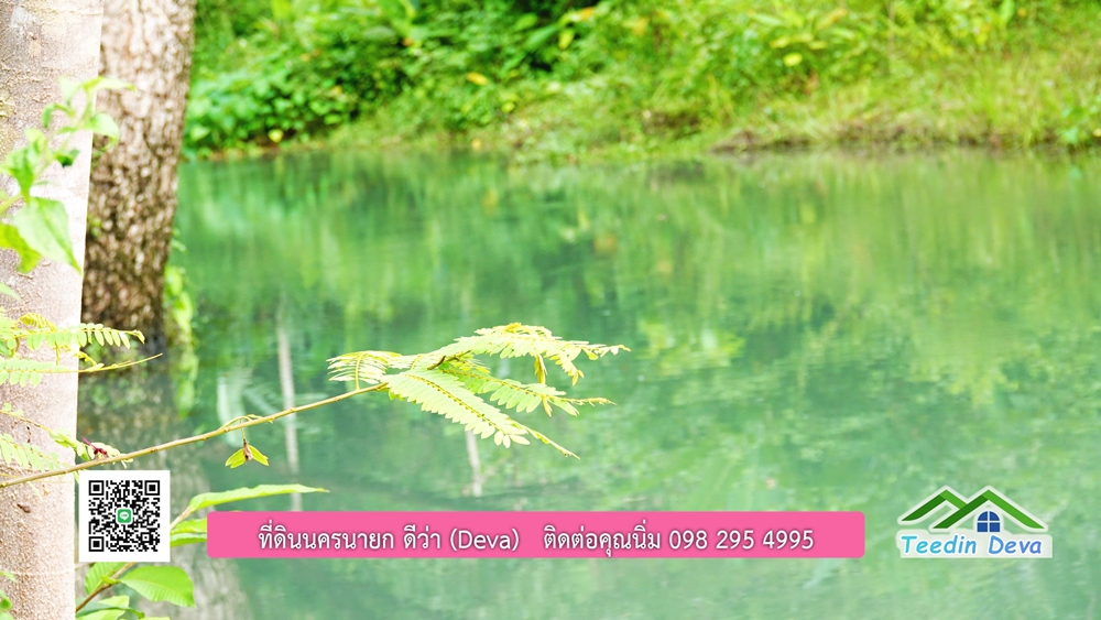 ที่ดินนครนายก ติดลำธารสวยๆ ที่ดินแปลงสวย 6 ไร่ ทำเลดี ในอ้อมกอดของขุนเขา ด้านหลังติดลำธารธรรมชาติ