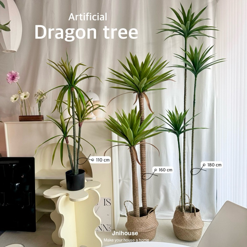 [พร้อมส่ง] Jnihouse : Dragon Tree (version.2)