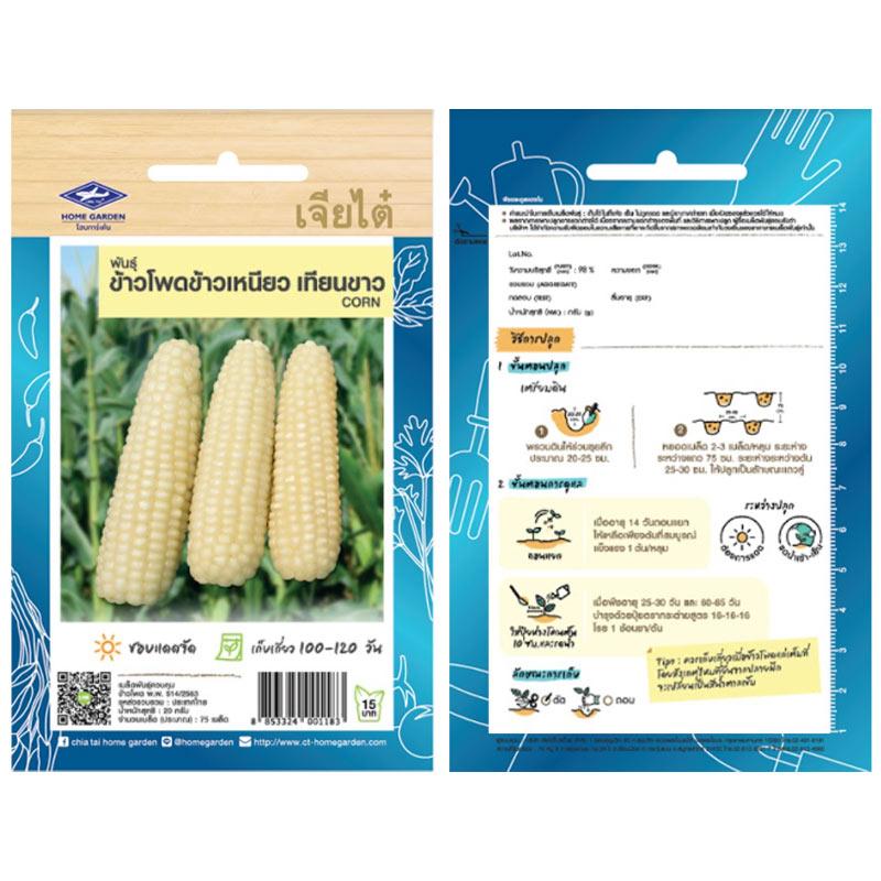 เมล็ดข้าวโพดข้าวเหนียว เทียนขาว-เจียไต๋