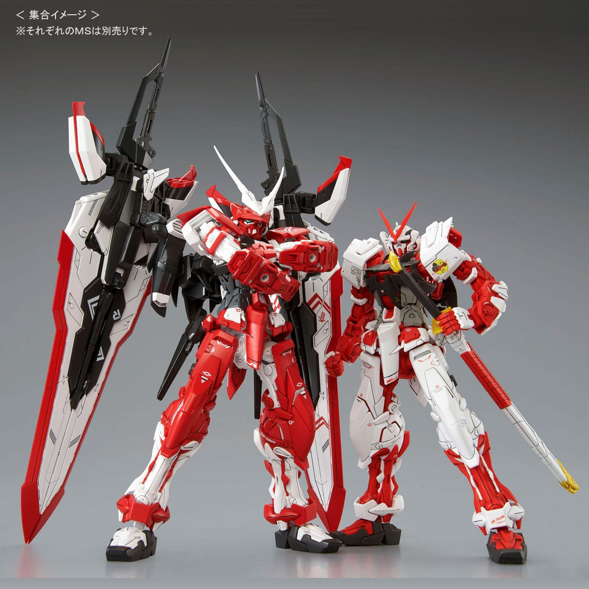 (MG) 1/100 P-BANDAI ASTRAY TURN RED