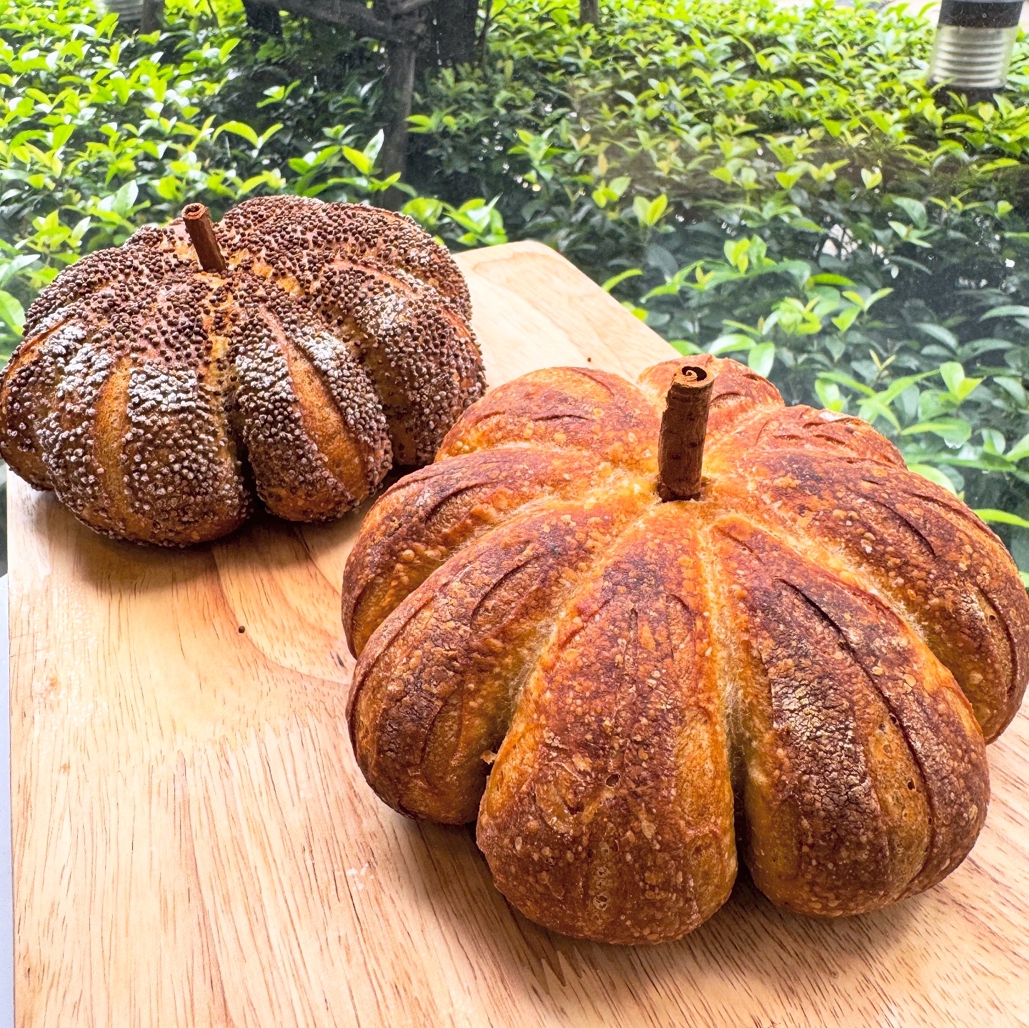 Pumpkin Sourdough