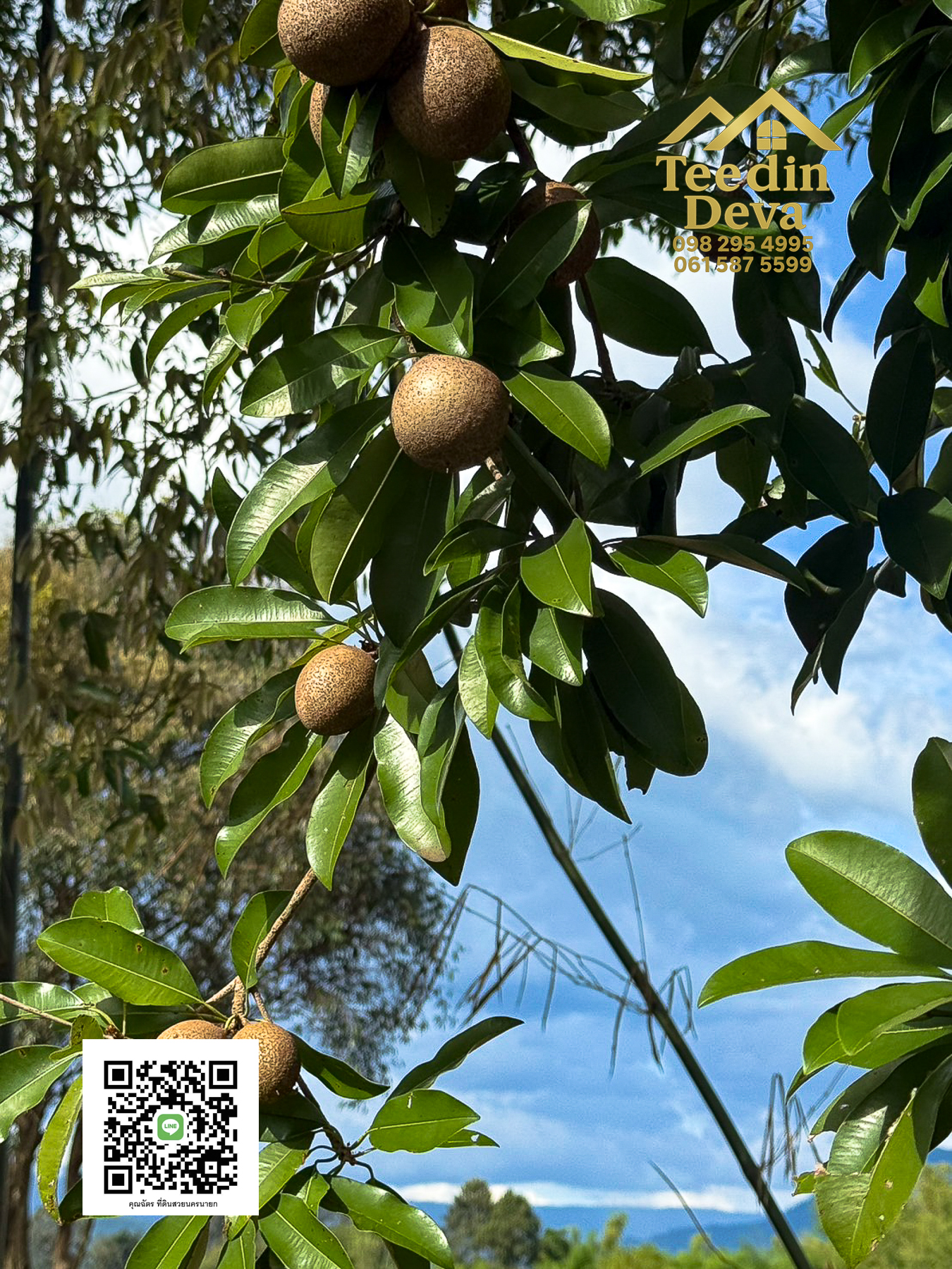 🌄 บ้านสวนผลไม้ในฝันกลางวิวเขาใหญ่ — 2 ไร่ 45 ตรว. ต.นาหินลาด อ.ปากพลี จ.นครนายก 🍃