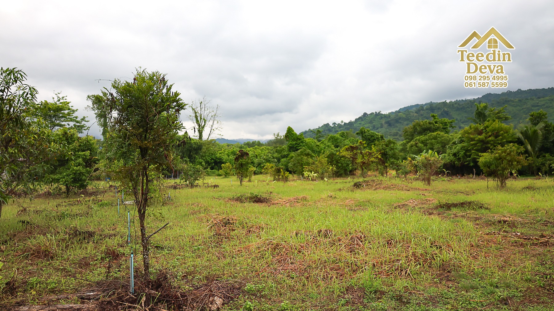 🌤 วิวภูเขาโอบล้อม ความสงบโอบใจ... ที่ดินสวนผลไม้ 120 ตร.ว. ต.หินตั้ง อ.เมือง จ.นครนายก 💛