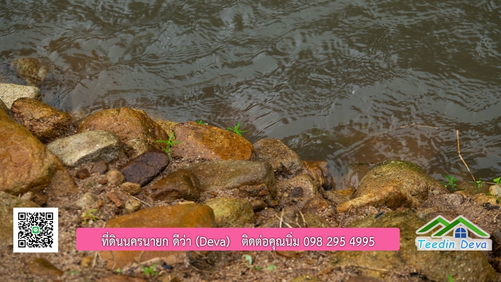 ที่ดินนครนายก สวนผลไม้ขนาดเล็ก 155 ตร.ว. ด้านหลังติดลำธาร