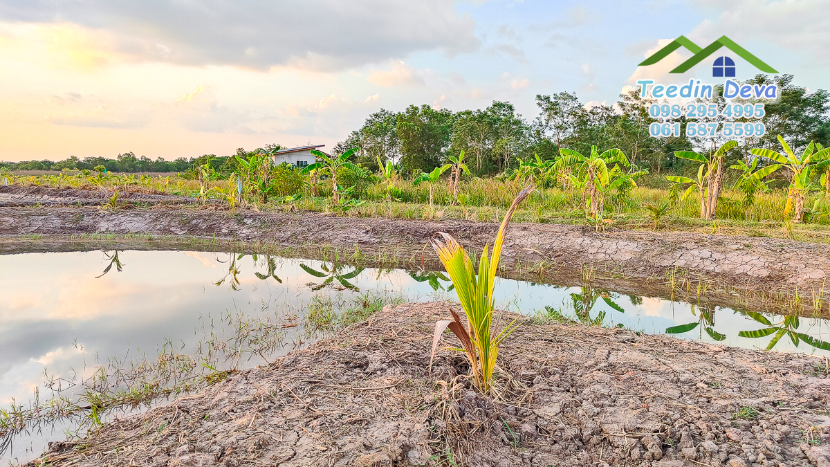 ที่ดินนครนายก แปลงสวย เหมาะทำบ้านสวนเกษตร 2 ไร่ 1 งาน 19 ตร.ว. ต.พรหมณี อ.เมือง จ.นครนายก