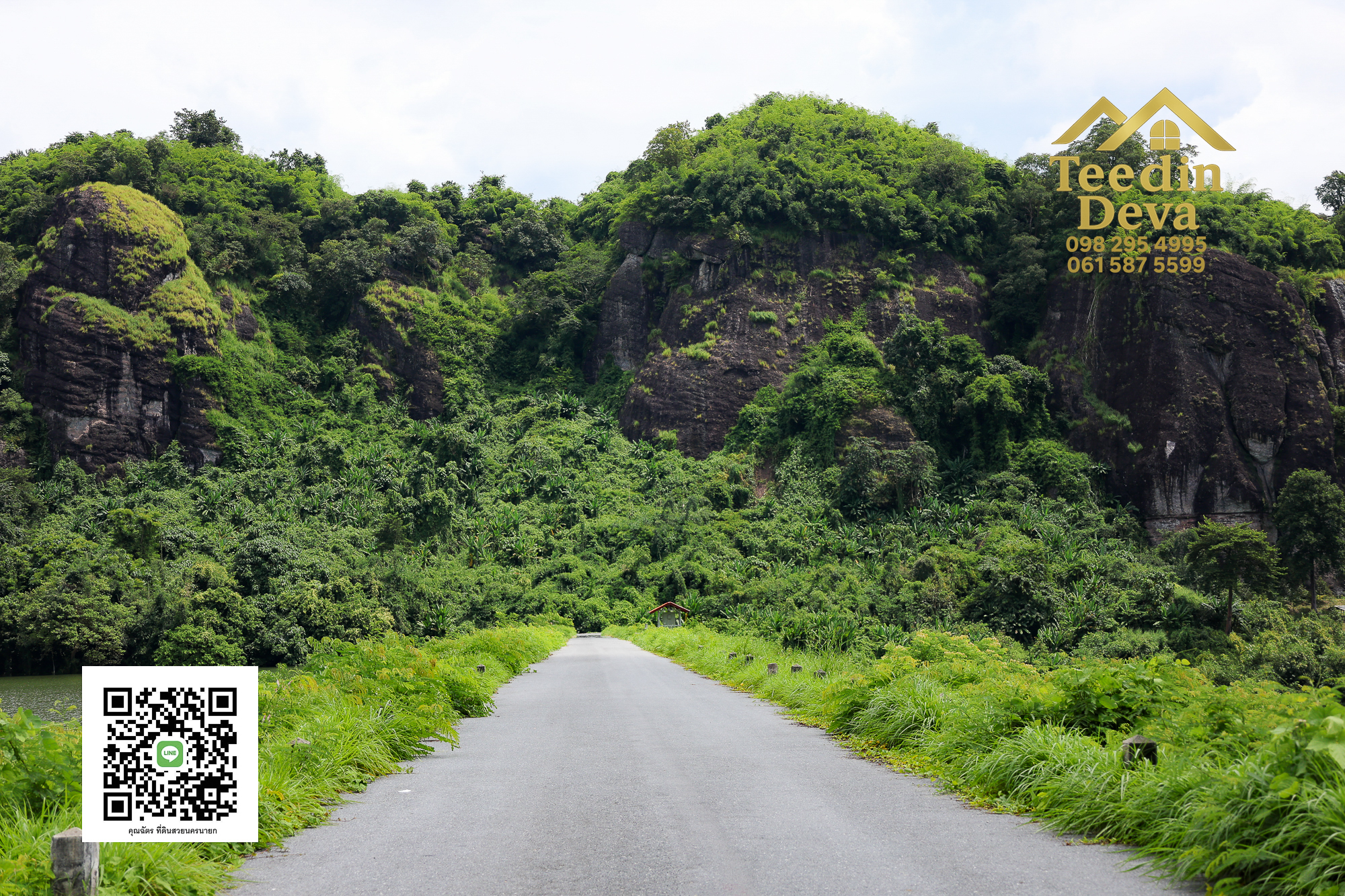 🍃 มุมสงบใกล้เขาใหญ่ ที่ธรรมชาติอยู่ใกล้เพียงเอื้อมมือ ที่ดิน 100 ตรว. นาหินลาด อ.ปากพลี จ.นครนายก