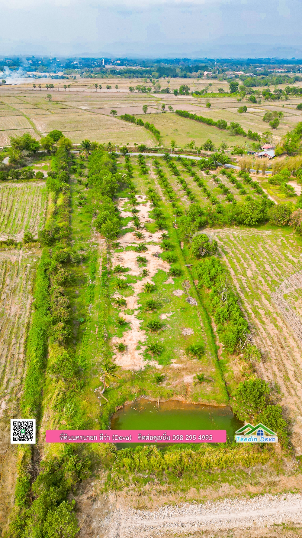 ขายที่ดิน สวนปาล์ม แปลงสวย ทำเลดี เนื้อที่ 11-3-8 ไร่ ให้ผลผลิตแล้ว อ.ปากพลี จ.นครนายก