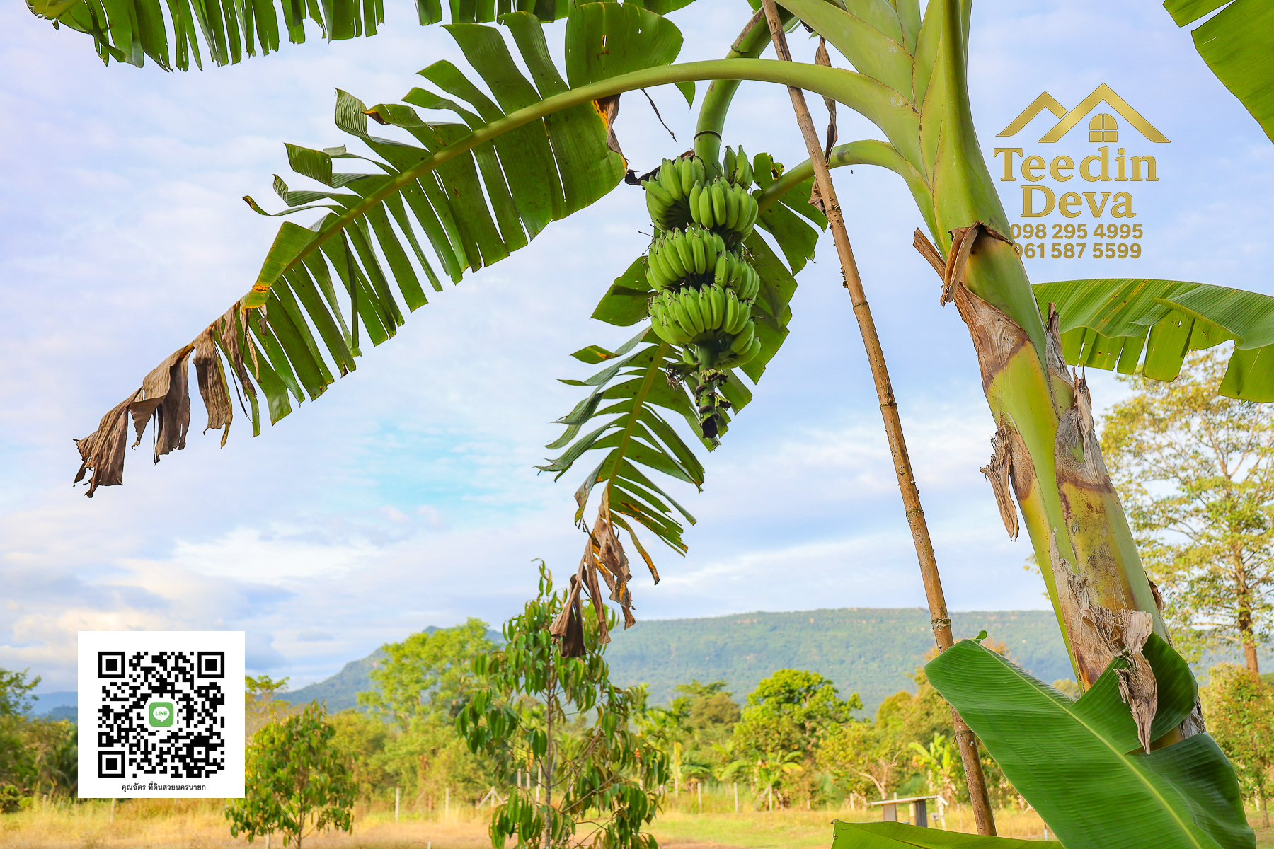 💭 ตื่นเช้าลมเย็น เห็นเขาใหญ่ตรงหน้า... ที่ดินสวนผลไม้ 2 ไร่ 3 งาน ต.นาหินลาด อ.ปากพลี จ.นครนายก