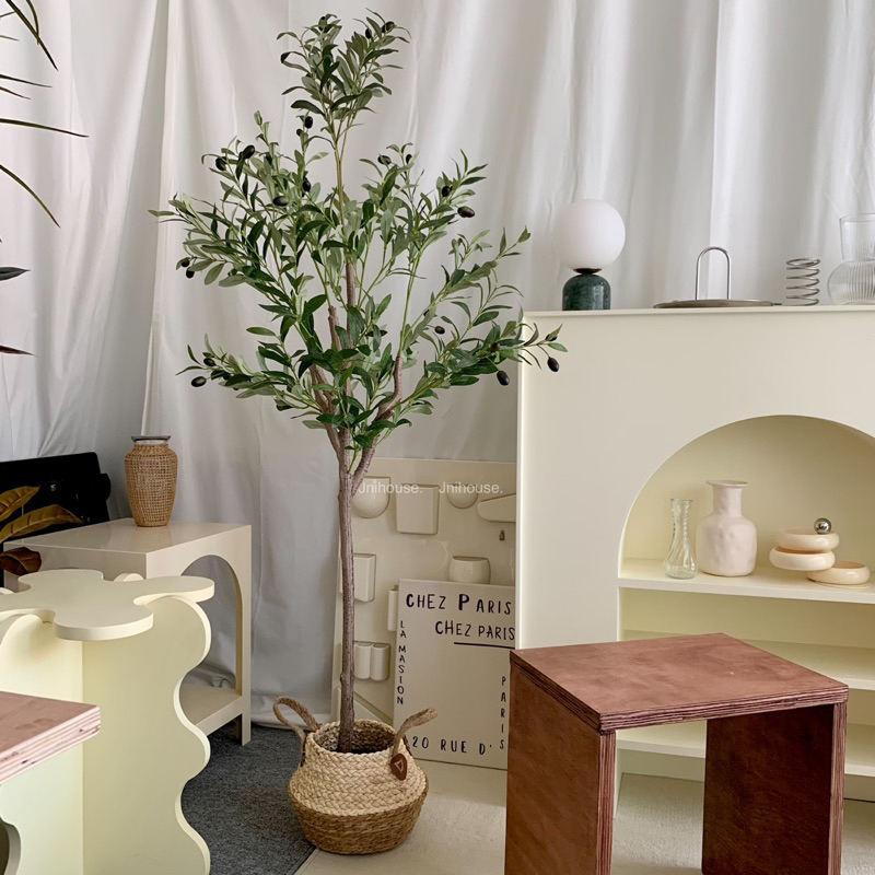 [พร้อมส่ง] Jnihouse : ตะกร้าสานหวาย ตะกร้าใส่ต้นไม้ (ทูโทน)