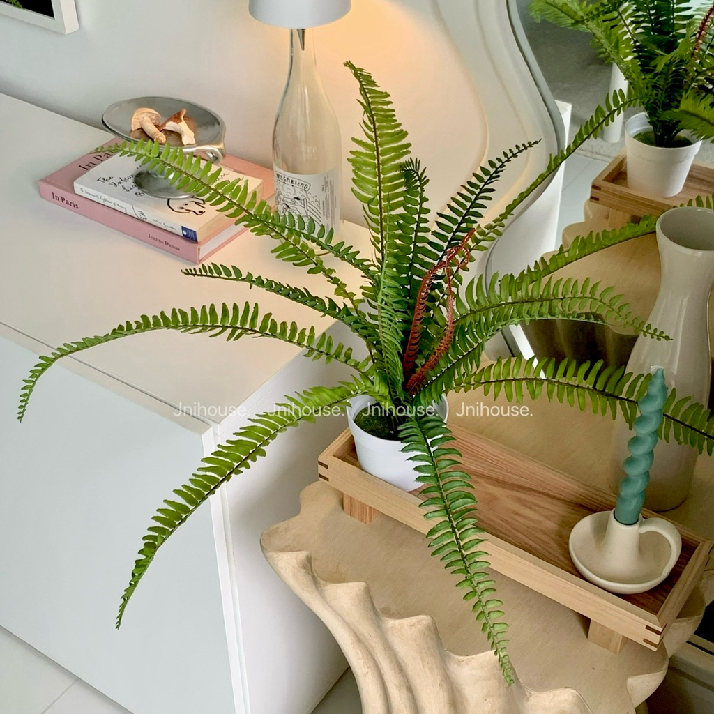 [พร้อมส่ง] Jnihouse : ต้นเฟิร์นบอสตัน ต้นไม้ประดิษฐ์ (Tree