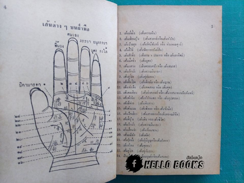 ตำราหัตถศาสตร์จีน