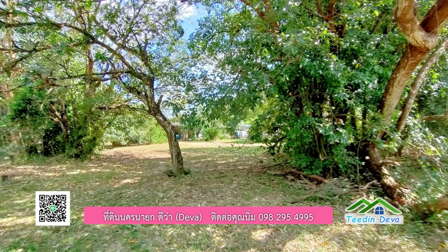 บ้านสวนผลไม้ ใกล้กับแหล่งท่องเที่ยว เจ้าของปลูกมะยงชิด ส้มโอ ต้นกฤษณา 20 ไร่ อยู่ติดถนนสายท่องเที่ยว สาริกา-นางรอง ต.สาริกา อ.เมือง จ.นครนายก