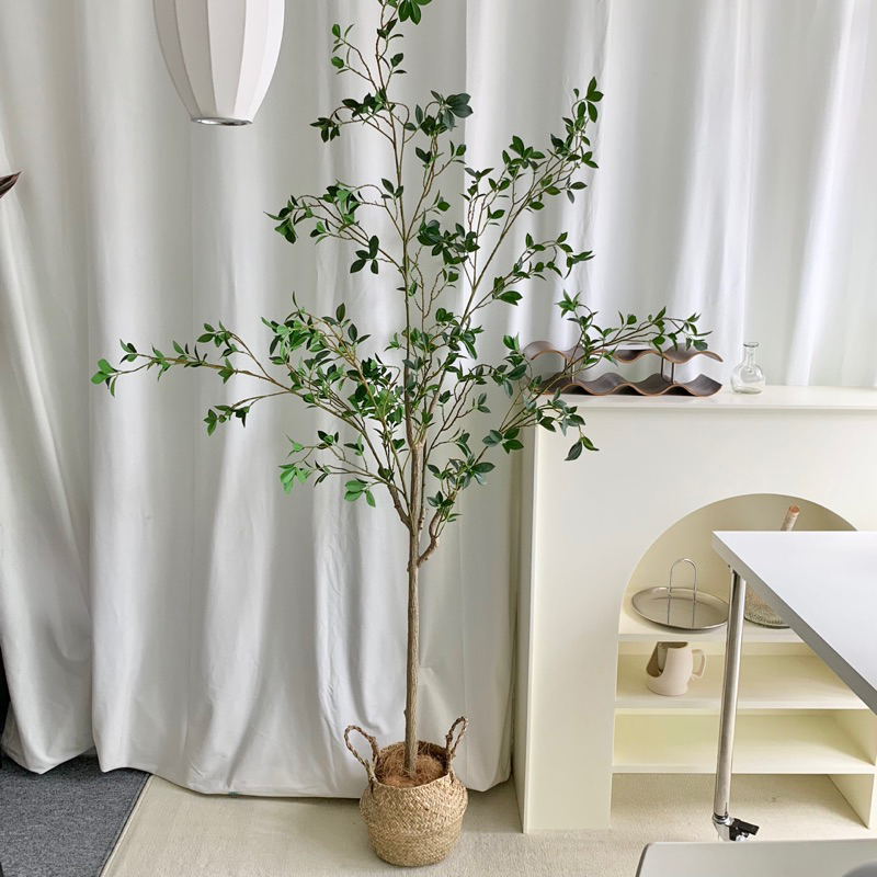 [พร้อมส่ง] Jnihouse : ตะกร้าสาน ตะกร้าหวายธรรมชาติ