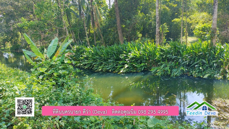 ที่ดินสวยขนาด 10 ไร่ อยู่ในแหล่งท่องเที่ยว ใกล้เขื่อนด่านปราการชล ต.สาริกา อ.เมือง จ.นครนายก