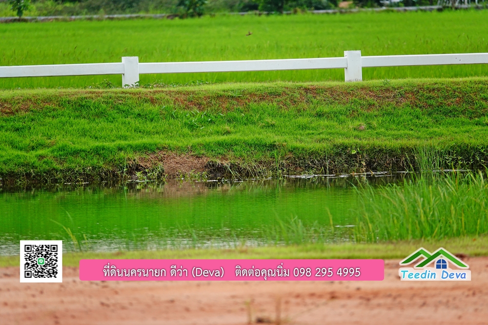 ที่ดินนครนายก โครงการ Mountain 3 อ.บ้านนา จ.นครนายก