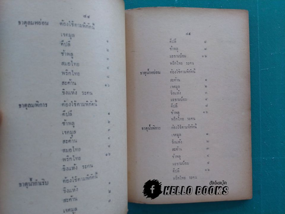 ตำราหมอแผนโบราณโดยสังเขป ทางปรุงยา, ทางบำบัดรักษา