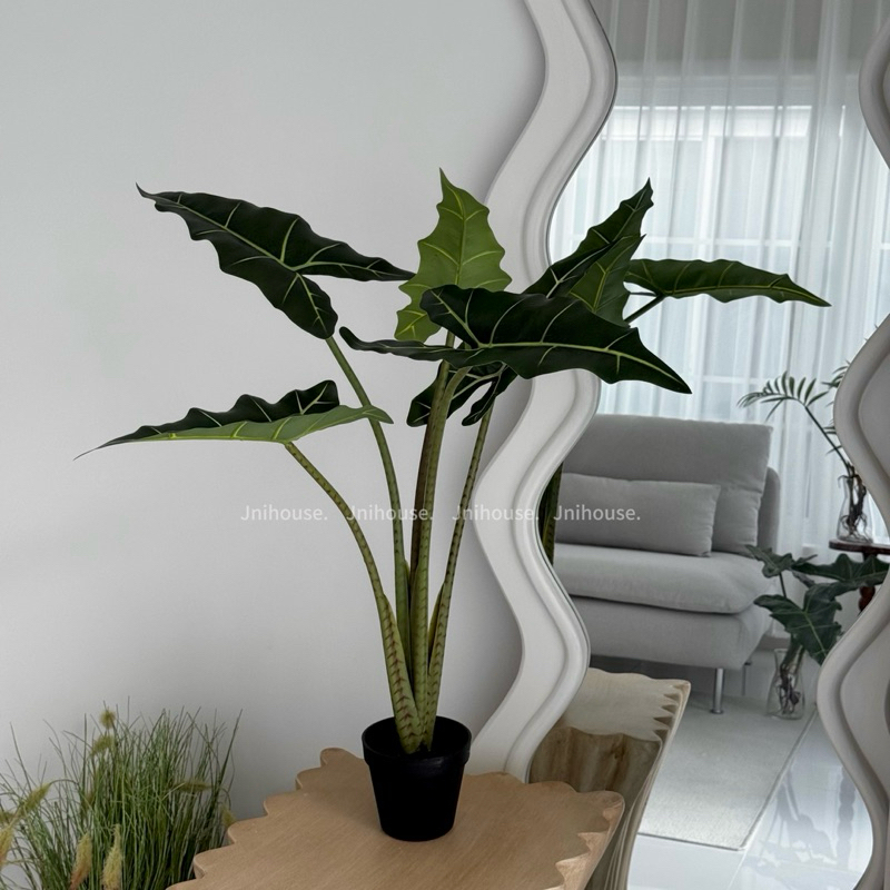 [พร้อมส่ง] Jnihouse : ต้นไม้ประดิษฐ์อโลคาเซีย หูช้าง (Artificial Alocasia Sarian Potted)(Tree)