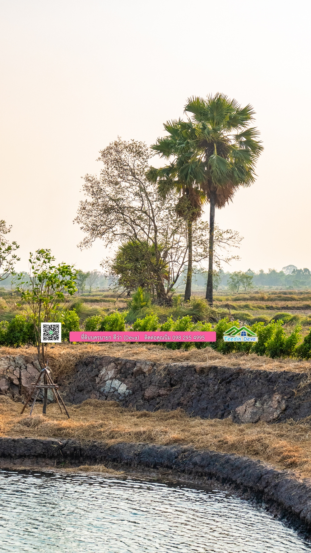 🌿 ที่ดินสวยๆ ขนาด 2 ไร่ พร้อมน้ำไฟ ดินดี น้ำดี อากาศดี มีเพื่อนบ้าน ณ ต.ปากพลี อ.ปากพลี จ.นครนายก