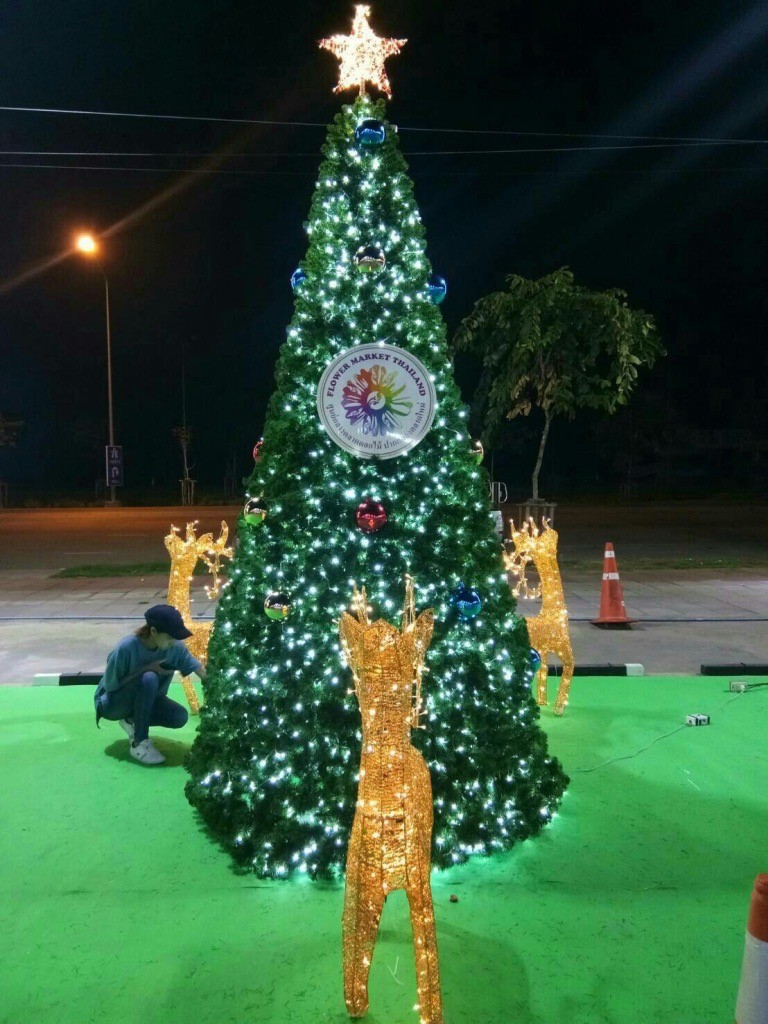 รวบรวมแบบต้นคริสต์มาสทรงกรวยทุกขนาด ดูแบบได้ที่นี่