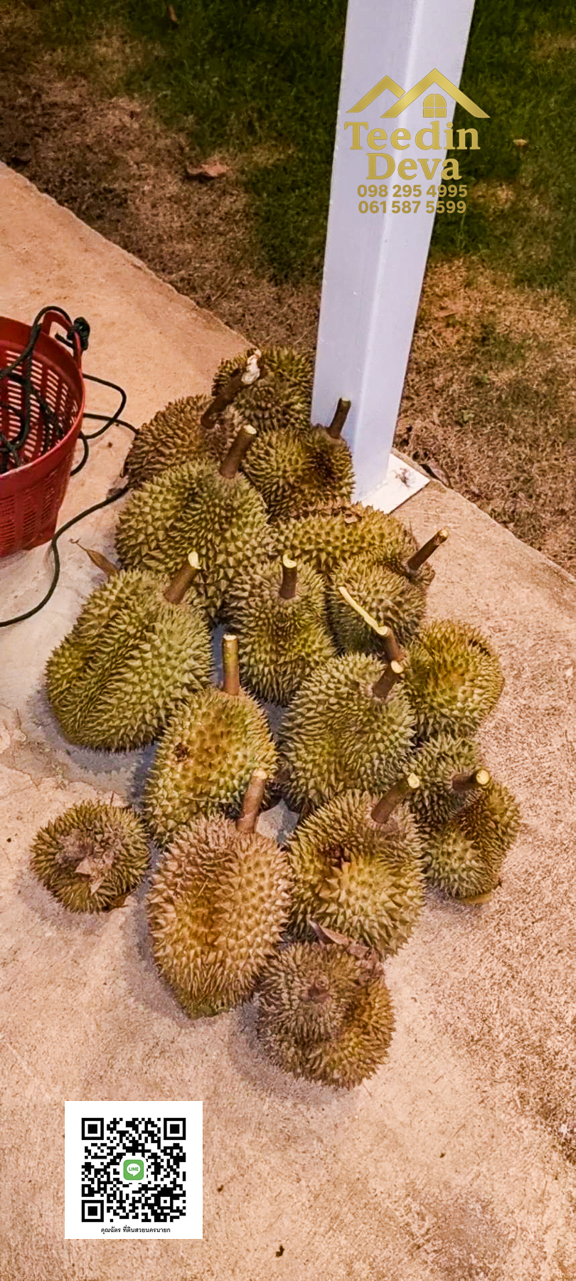 🌿 บ้านสวนในฝัน พร้อมอยู่ ใกล้เขื่อนขุนด่าน เนื้อที่ 1 ไร่ ต.สาริกา อ.เมือง จ.นครนายก 🏡