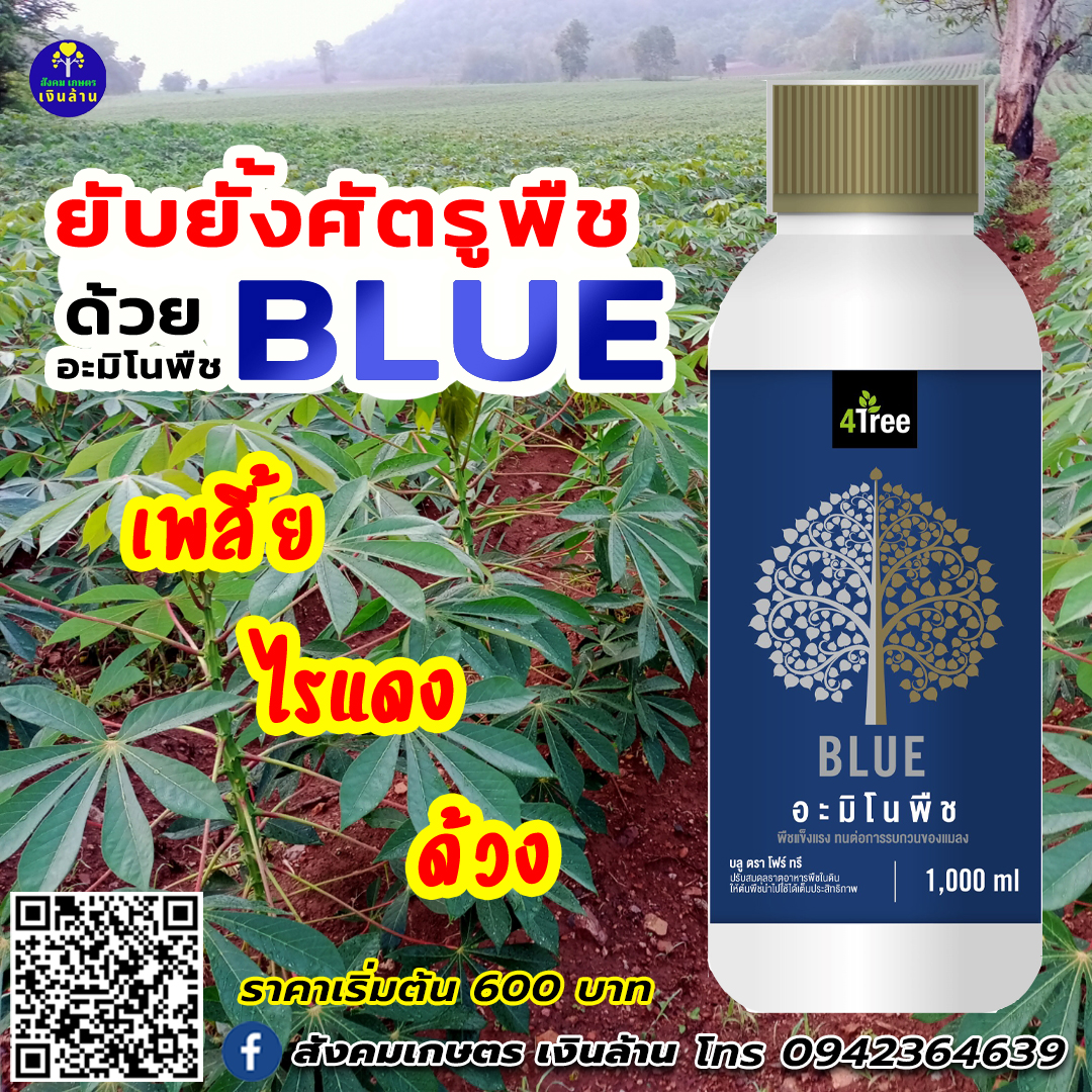 อะมิโนพืช บลู Amino BLUE : จุลินทรีย์ฮอร์โมน สูตรพิเศษ (4tree)