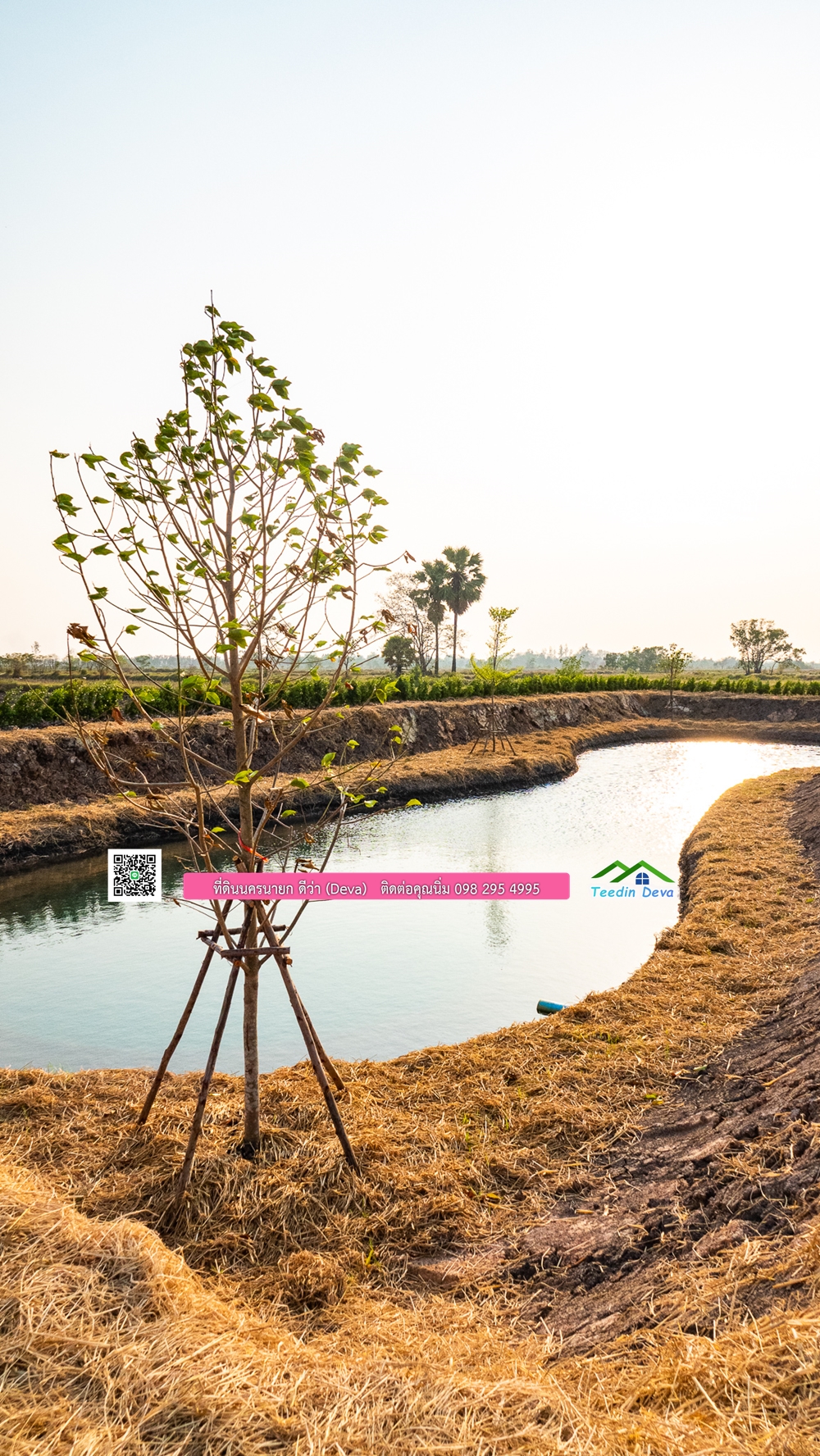 🌿 ที่ดินสวยๆ ขนาด 2 ไร่ พร้อมน้ำไฟ ดินดี น้ำดี อากาศดี มีเพื่อนบ้าน ณ ต.ปากพลี อ.ปากพลี จ.นครนายก