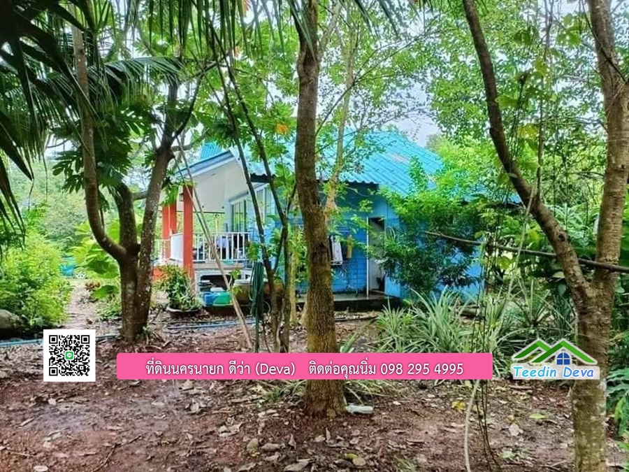 บ้านสวนผลไม้ สามารถเก็บผลผลิตได้เลย พื้นที่ 2 ไร่ 1 งาน อ.ปากพลี จ.นครนายก