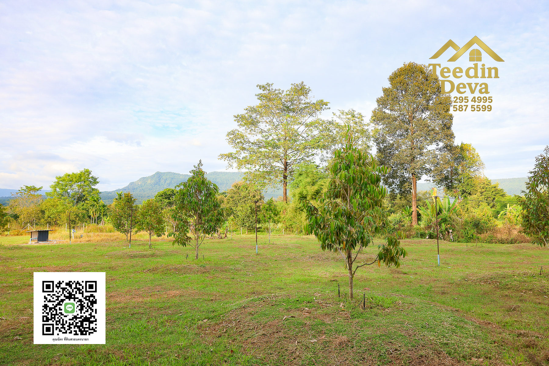 💭 ตื่นเช้าลมเย็น เห็นเขาใหญ่ตรงหน้า... ที่ดินสวนผลไม้ 2 ไร่ 3 งาน ต.นาหินลาด อ.ปากพลี จ.นครนายก