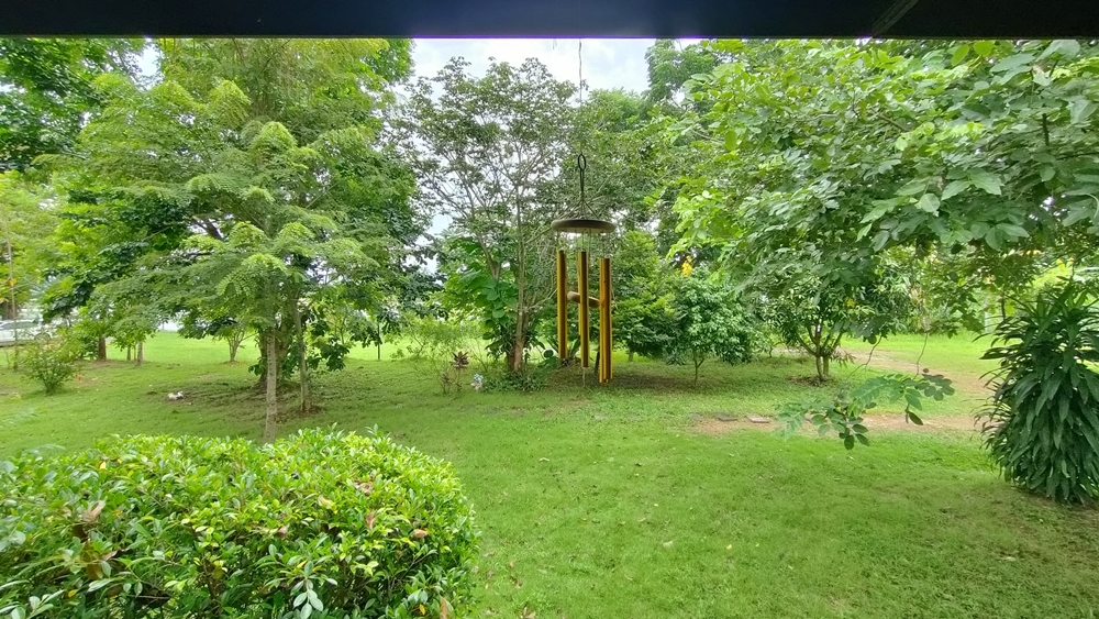 ขายบ้านสวน กลางนา วิวเขาใหญ่ ต.สาริกา อ.เมือง จ.นครนายก