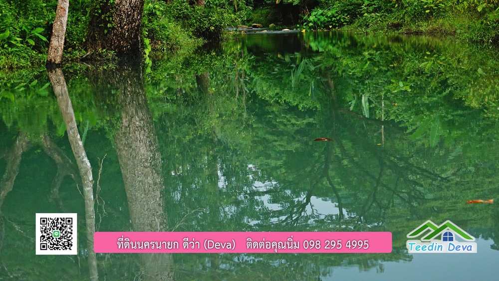 ที่ดินนครนายก ติดลำธารสวยๆ ที่ดินแปลงสวย 6 ไร่ ทำเลดี ในอ้อมกอดของขุนเขา ด้านหลังติดลำธารธรรมชาติ