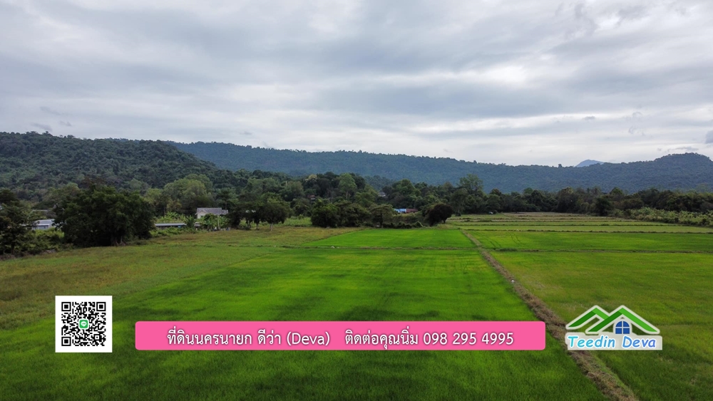 ที่ดินนครนายก ติดคลองธรรมชาติ พื้นที่ 10 ไร่ ไม่ต้องถม ด้านหน้าติดถนน ด้านหลังติดคลอง ต.สาริกา อ.เมือง จ.นครนายก