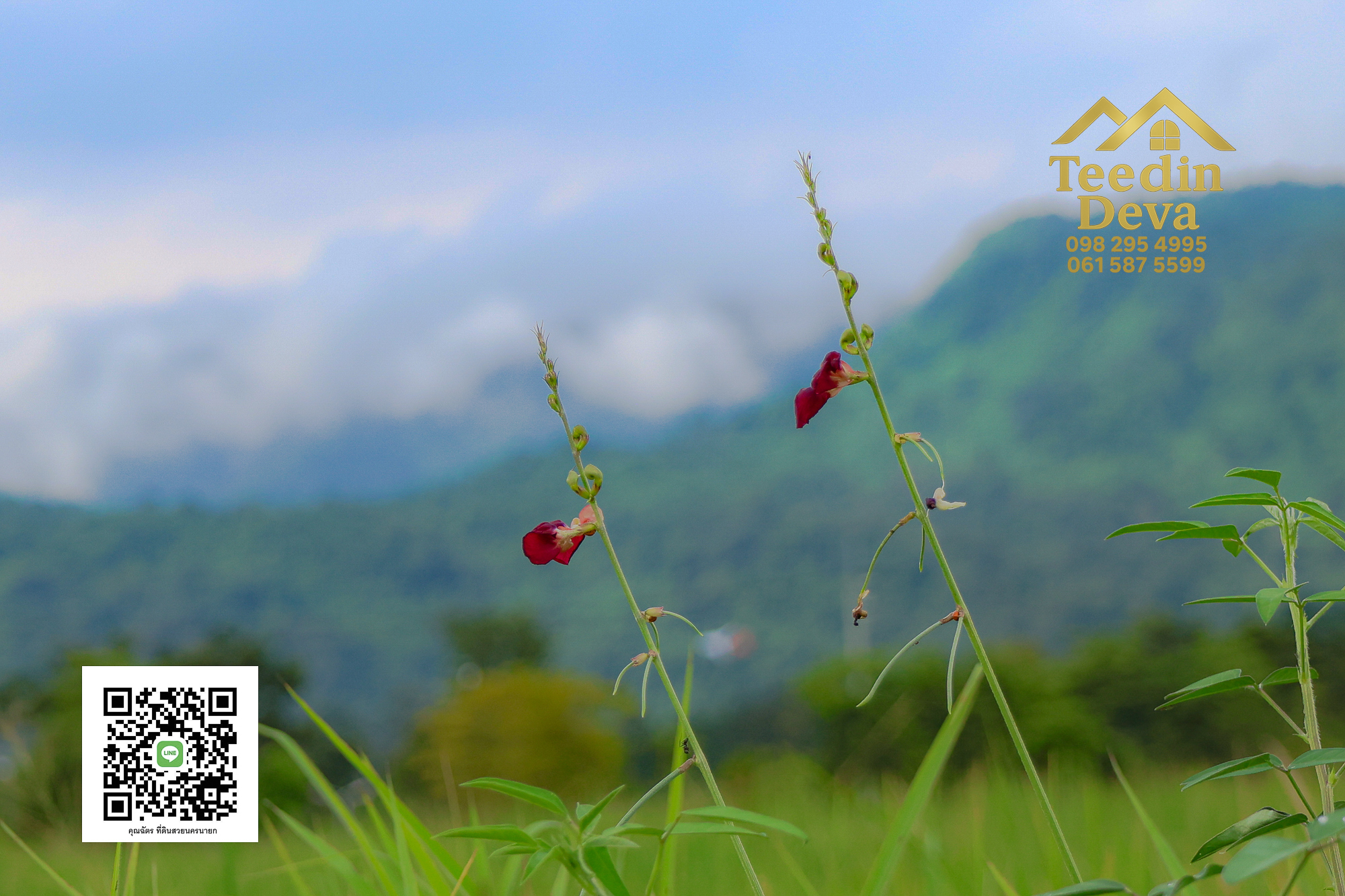 🏡✨ ที่ดินวิวภูเขา โอบด้วยธรรมชาติ…พักใจได้ทุกวัน 🌿 100 ตรว ต.เขาพระ อ.เมือง จ.นครนายก