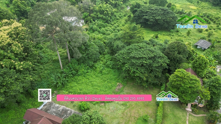 🌳 ที่ดินแปลงสวย 1 ไร่ 21 ตร.ว ใกล้กับแม่น้ำนครนายก บรรยากาศดี ร่มรื่น มีต้นไม้ใหญ่ในแปลง โฉนดครุฑแดง