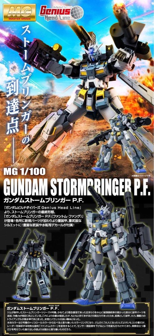 (MG) 1/100 GUNDAM STORMBRINGER P.F.(Premium Bandai)