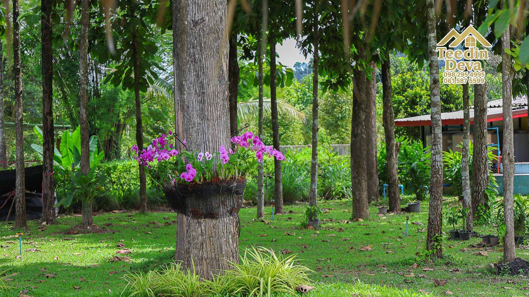 ðŋ āļāđāļēāļāļŠāļ§āļāđāļāļāļąāļ āļĢāļīāļĄāļĨāļģāļāļēāļĢ āļ§āļīāļ§āļ āļđāđāļāļēāļŠāļ§āļĒ â 821 āļāļĢ.āļ§. āļ.āļŠāļēāļĢāļīāļāļē āļ.āđāļĄāļ·āļāļ āļ.āļāļāļĢāļāļēāļĒāļ ðŋ