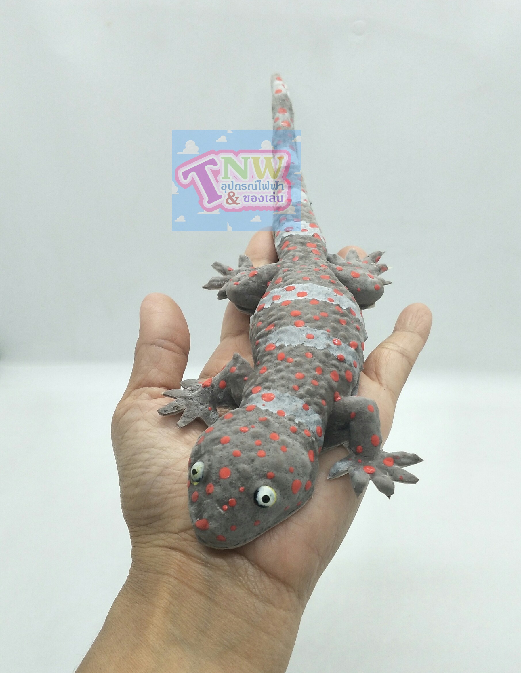 ตุ๊กแกปลอม ตุ๊กแก ตุ๊กแกยาง