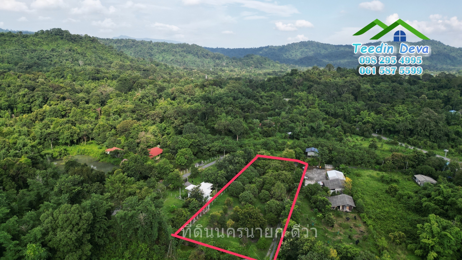 🌳🍊 ที่ดินนครนายก สวนผลไม้ เนื้อที่ 2 ไร่ ในทำเลติดกับภูเขา วิวสวยงาม ผลไม้เก็บผลผลิตได้แล้ว