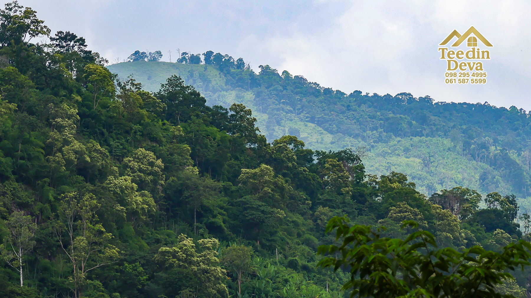 ที่ดินติดภูเขา เนินสวย พร้อมพัฒนารีสอร์ทหรือพูลวิลล่า 1 ไร่ ต.เขาพระ อ.เมือง จ.นครนายก 🏡
