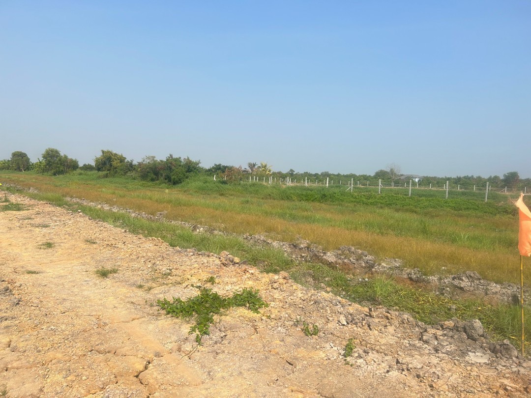 📢 ที่ดินแบ่งขายทำเลดี คลอง 11 หนองเสือ ปทุมธานี (รพีพัฒน์ เฟส 3) 🎗️