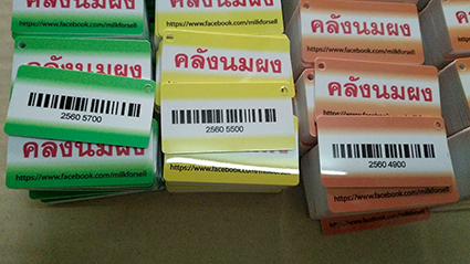 บัตร Pvc ขนาดเล็ก การ์ดพวงกุญแจ